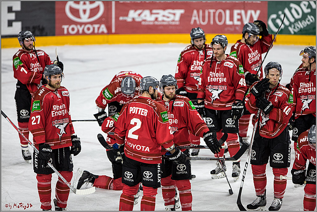 DEL, Koelner Haie - Grizzlys Wolfsburg, 21.03.2017